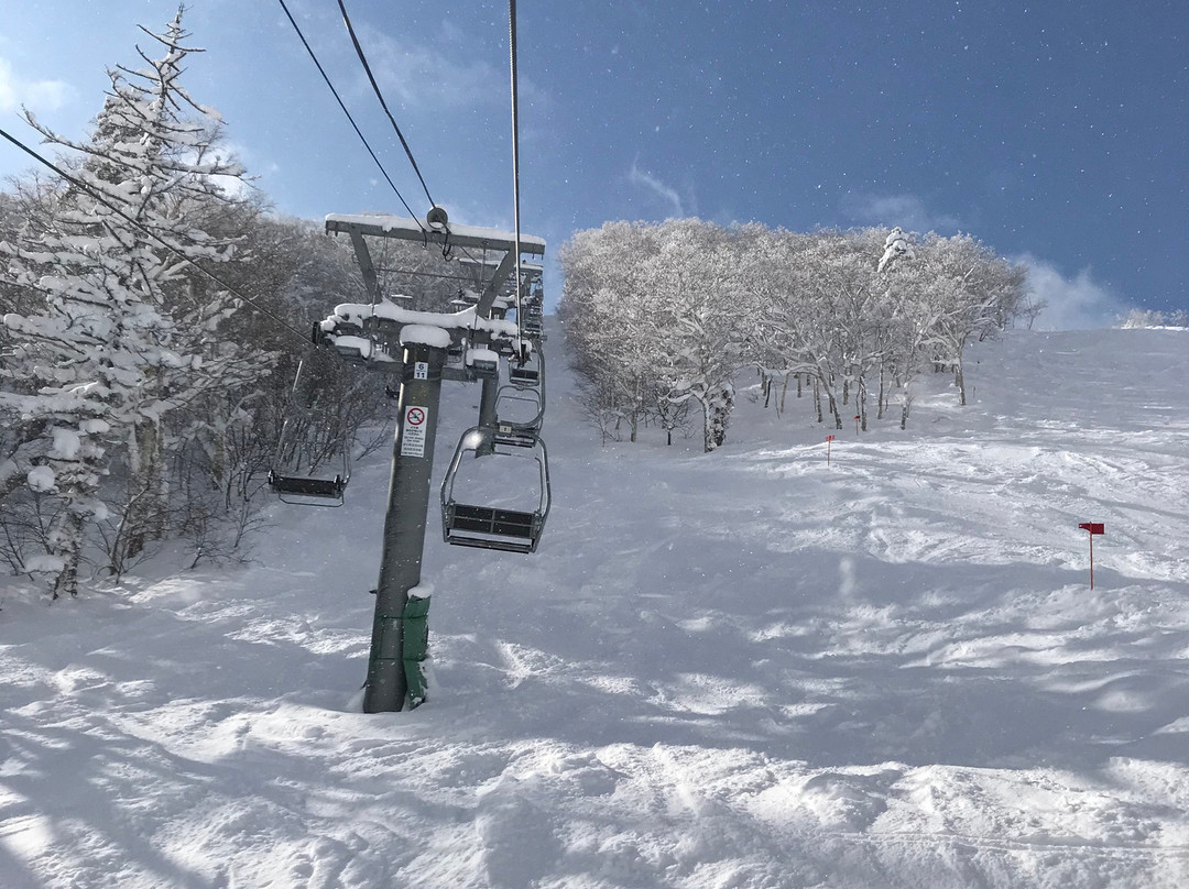 富良野滑雪场-富良野市必去景点