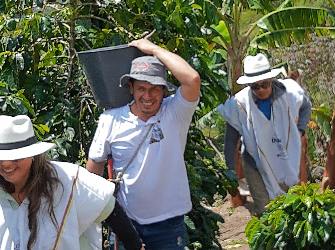 Café Tribu-San Jeronimo必去景点