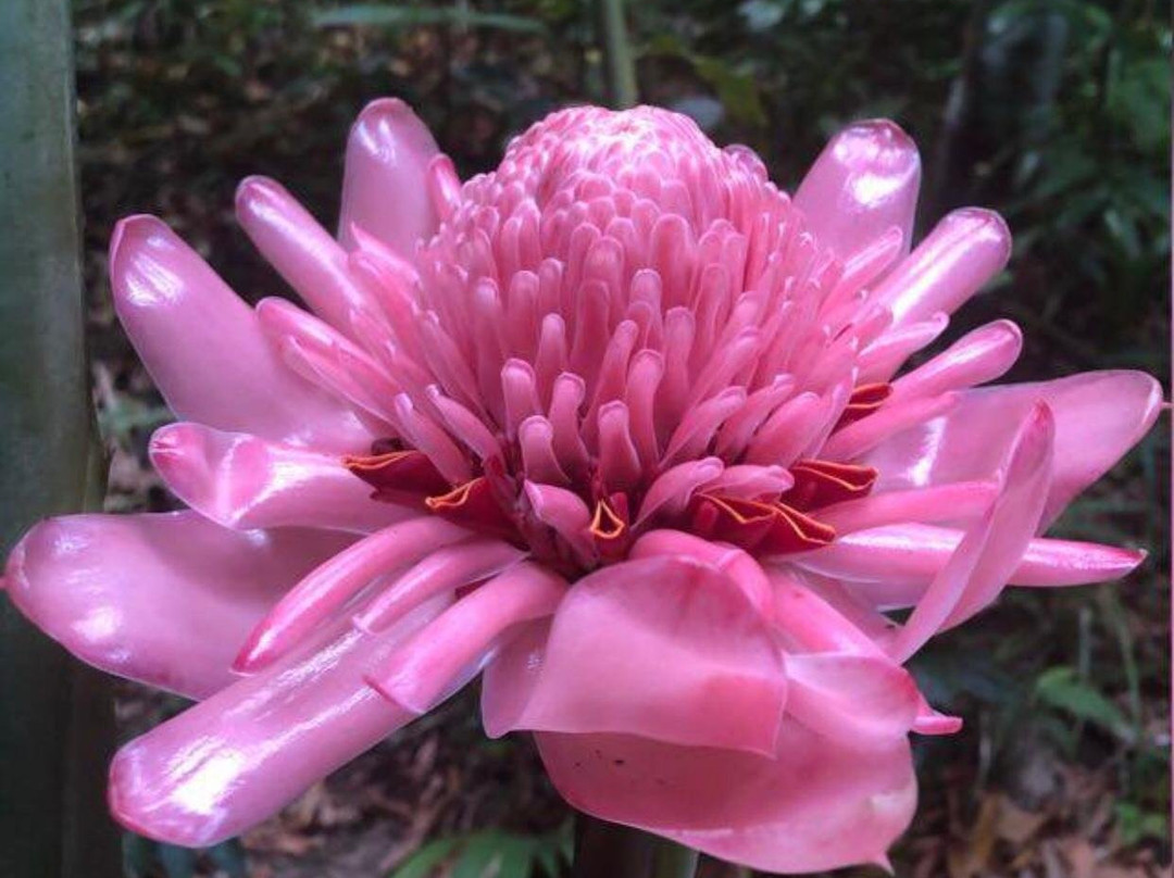 Pousada Anjali主图