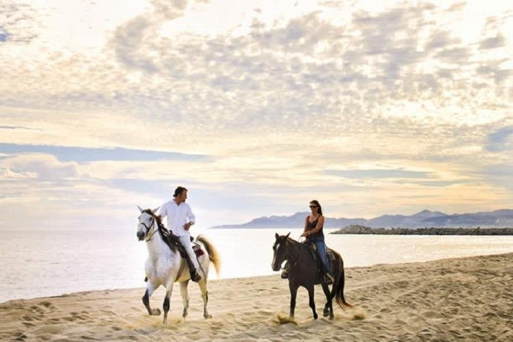 Best Cabo Tours LLC景点图片