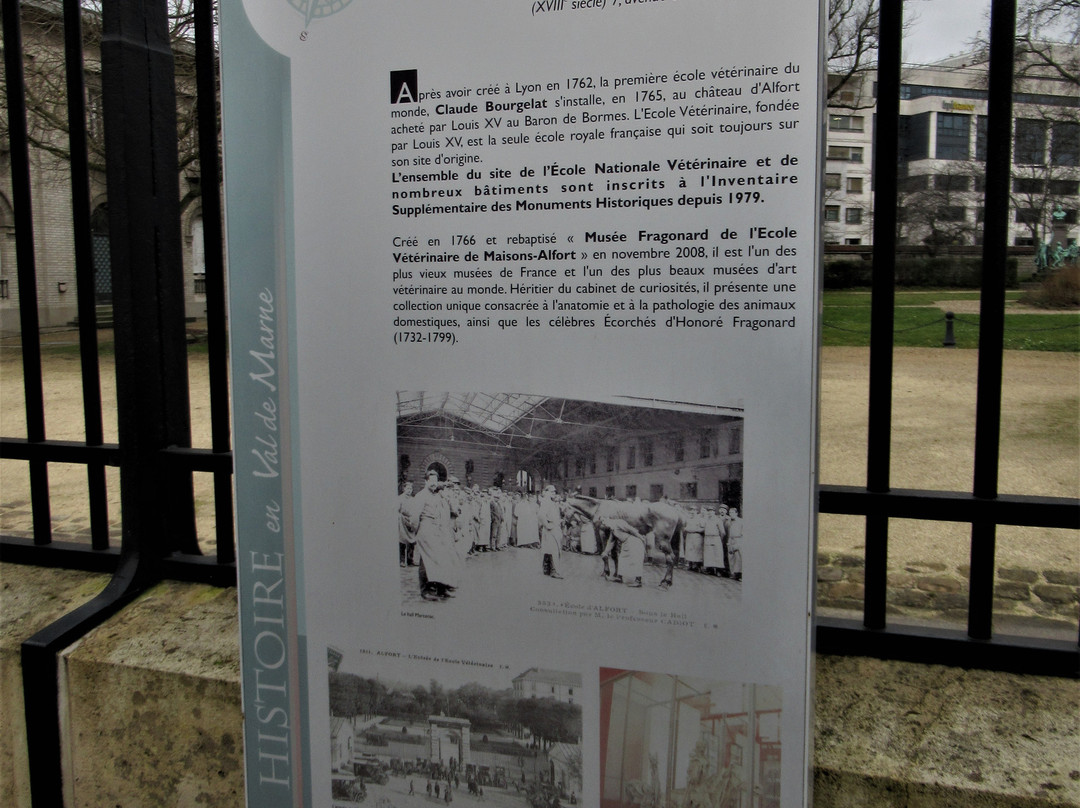 Statue de Claude Bourgelat景点图片