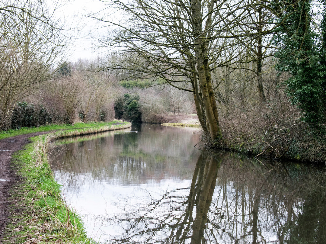 Smestow Valley Local Nature Reserve-沃尔夫汉普顿必去景点