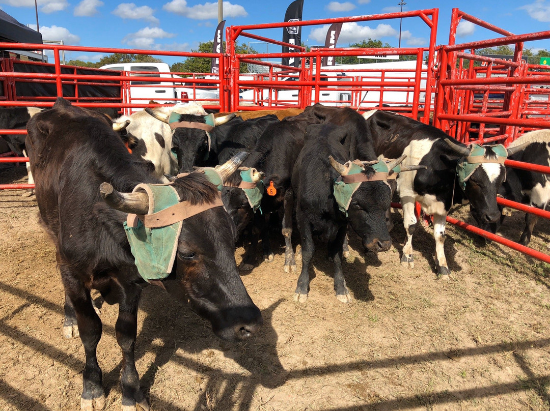 Harris Field Park-霍姆斯特德必去景点