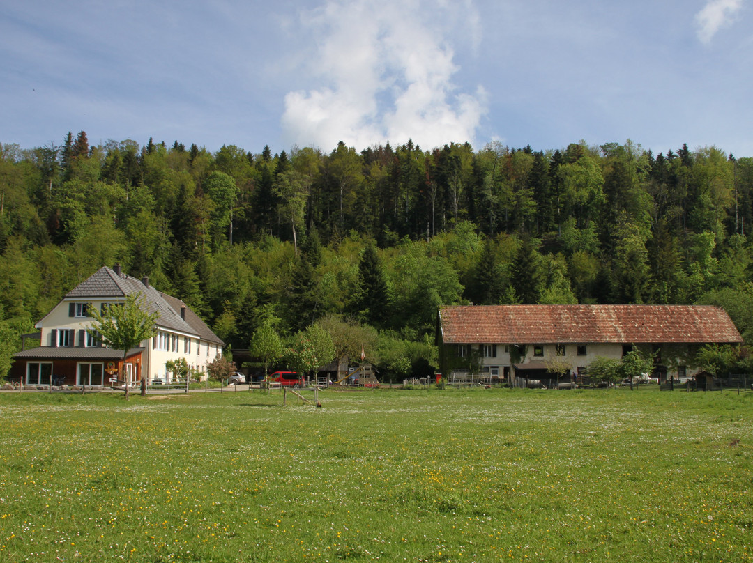La Ferme du Bonheur-Porrentruy必去景点