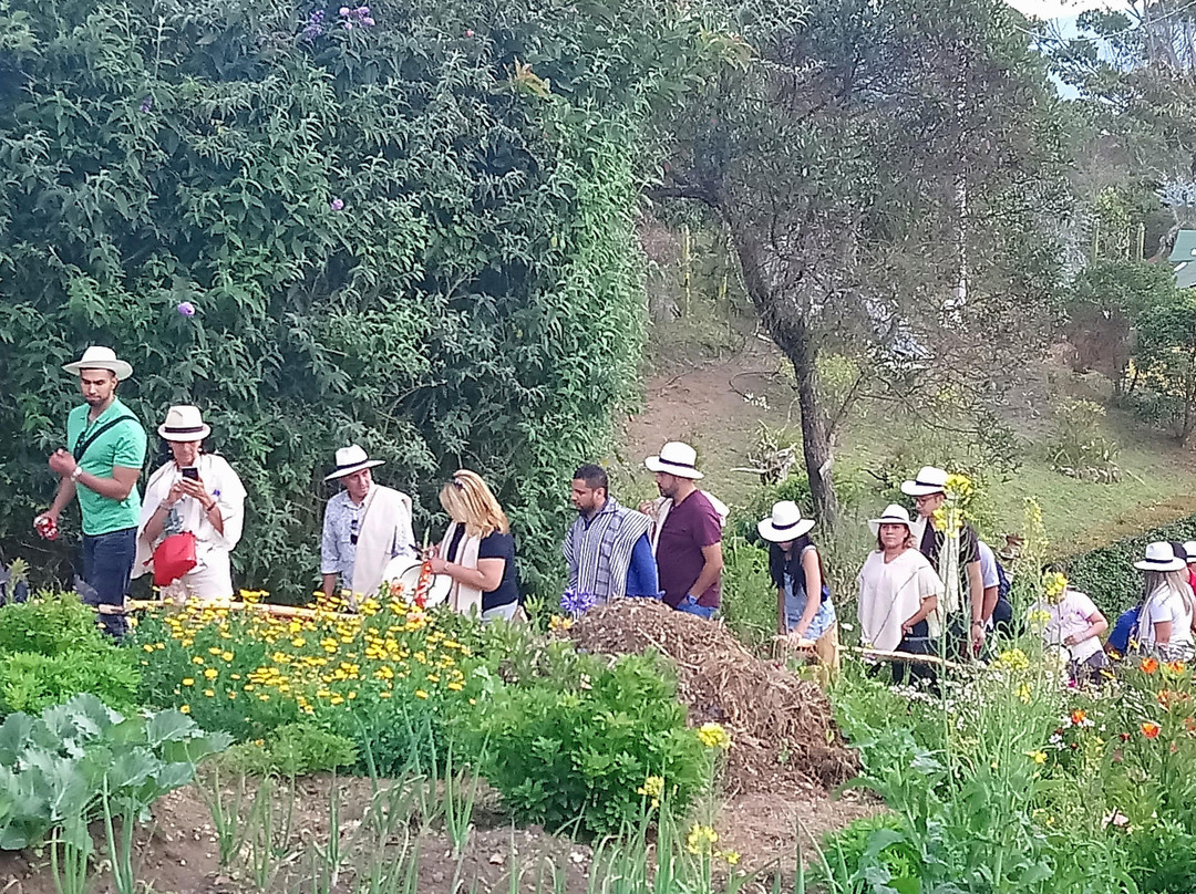 Aburrá Travels-麦德林必去景点