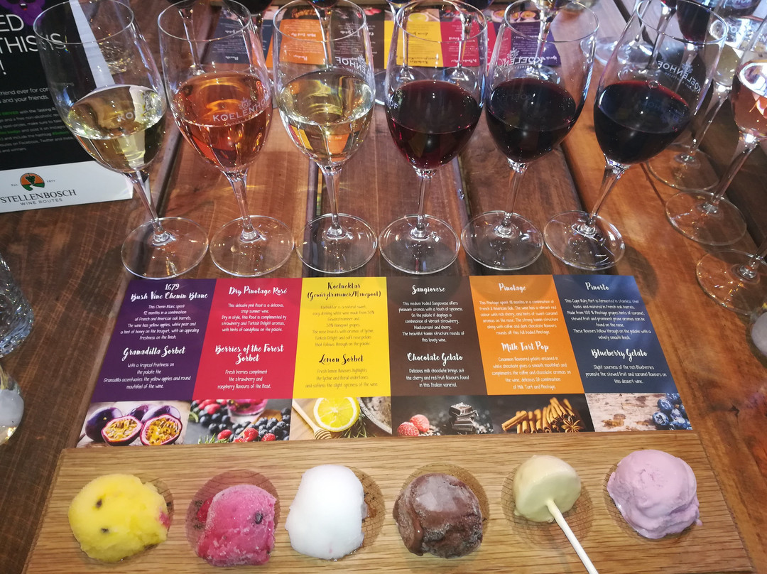 Koelenhof Wine Cellar-斯泰伦博斯必去景点