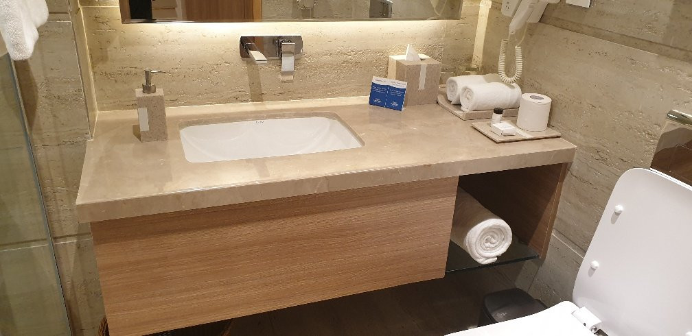 Bellevue Sarovar Premiere, Junagadh主图