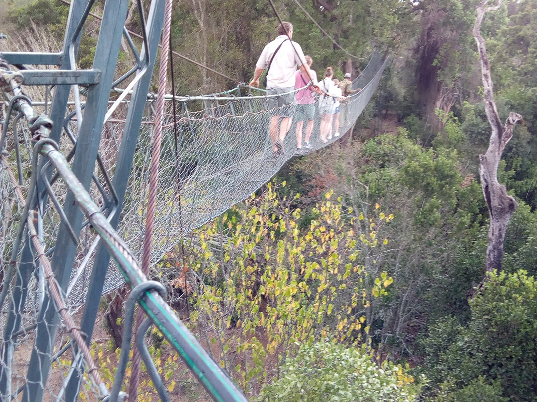 Ngare Ndare Forest Reserve-Meru Town必去景点