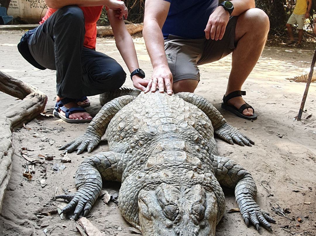 Kachikally Crocodile Pool景点图片