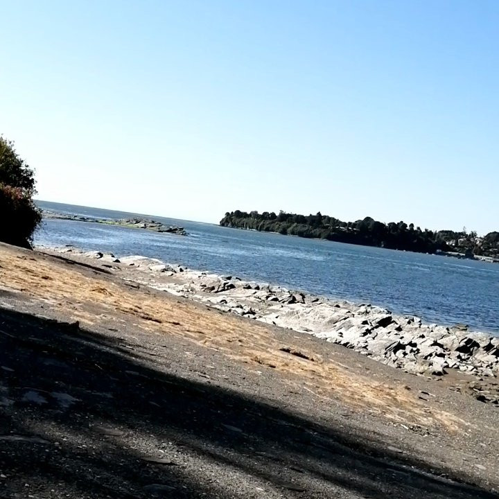 Isla Mancera-瓦尔迪维亚必去景点