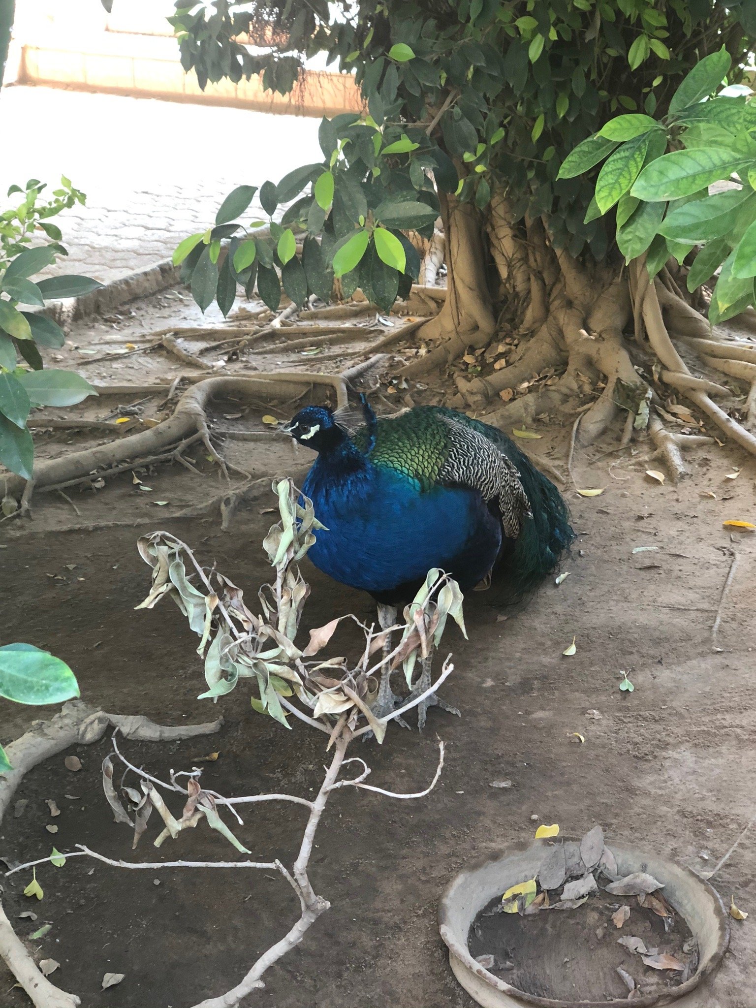 Hotel Terminus-官方