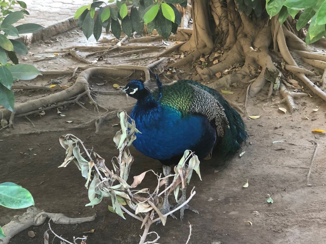 Hotel Terminus主图