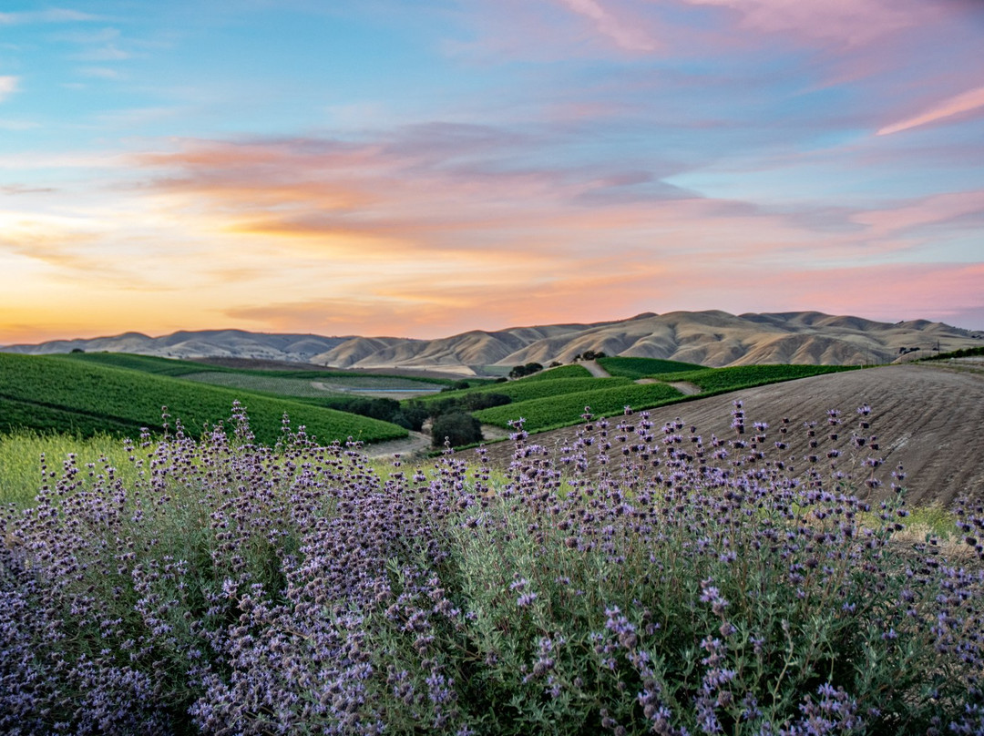 Vino Vargas Winery-San Miguel必去景点