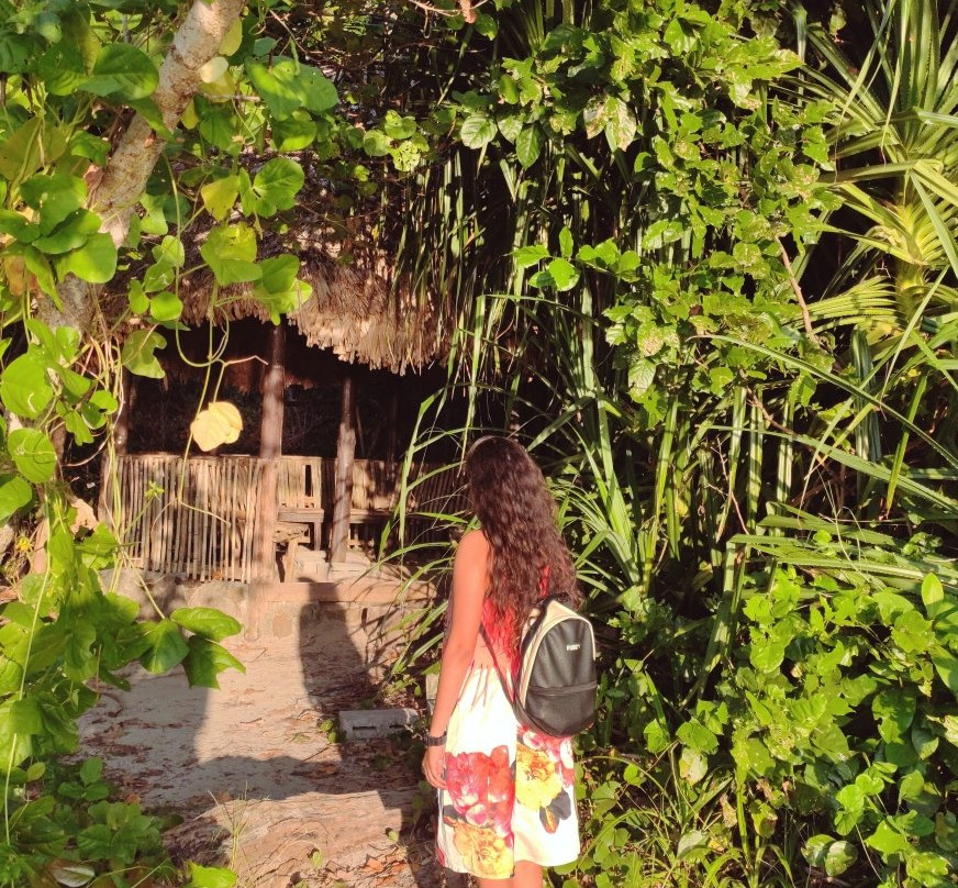 Chidiyatapu Biological Park景点图片
