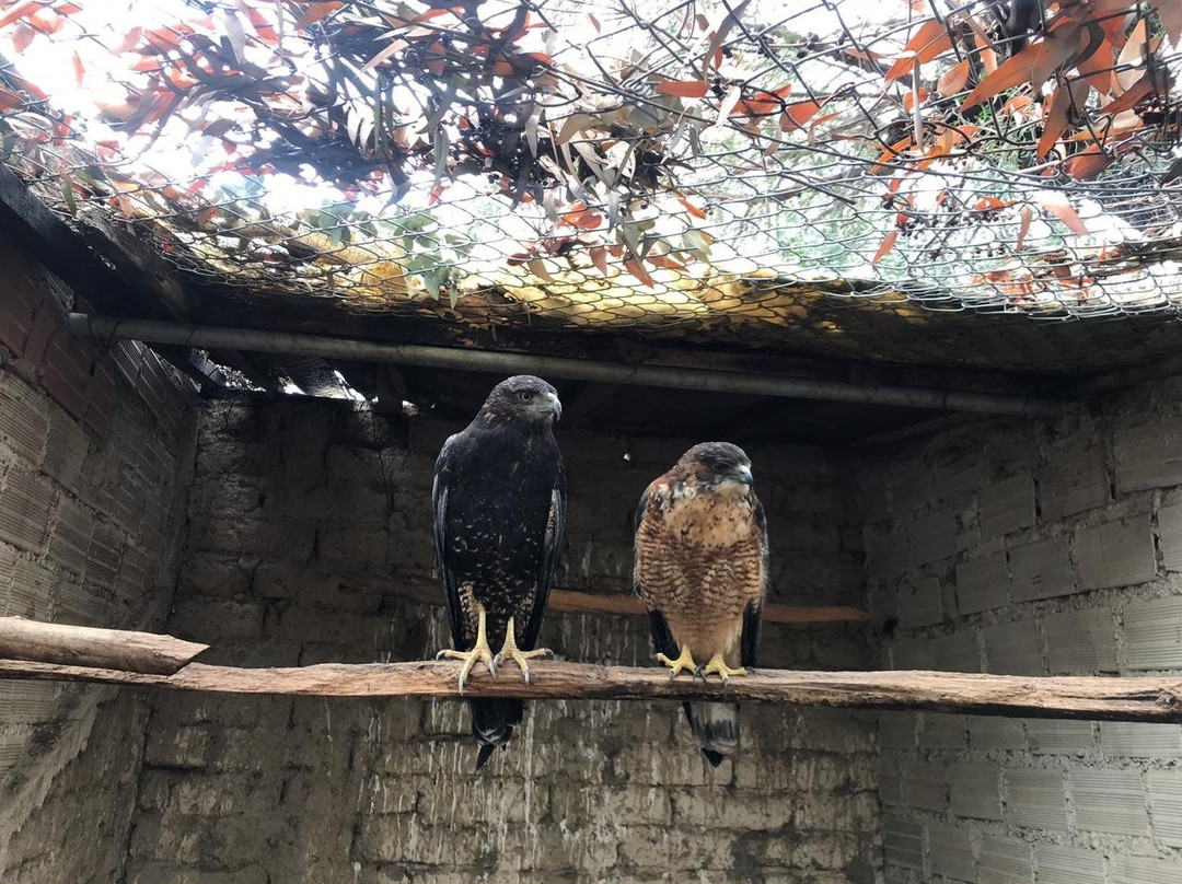 Parque de las Aves Agroflori-科恰班巴必去景点