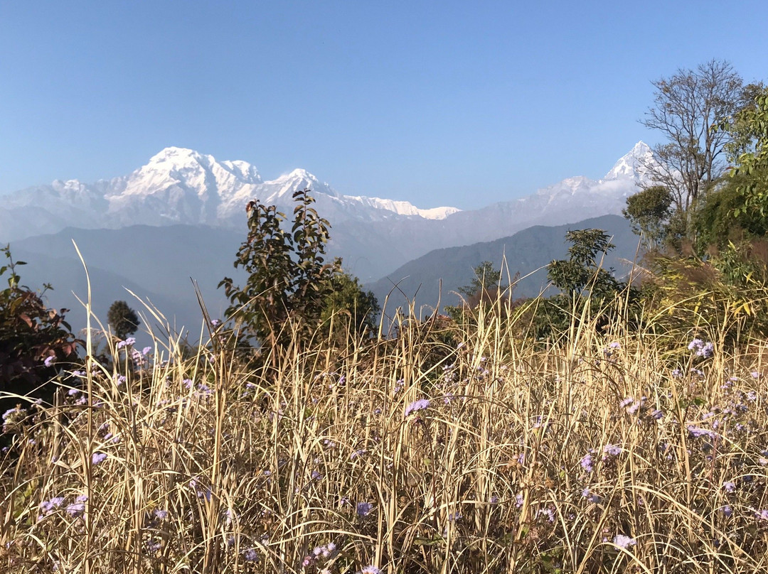 Mystique Highland Resort主图