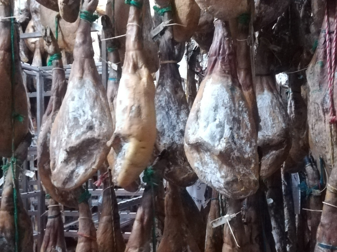 Ibericos Simon Martin Guijuelo SL景点图片