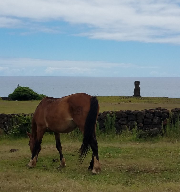 Hanga Kioe-复活节岛必去景点