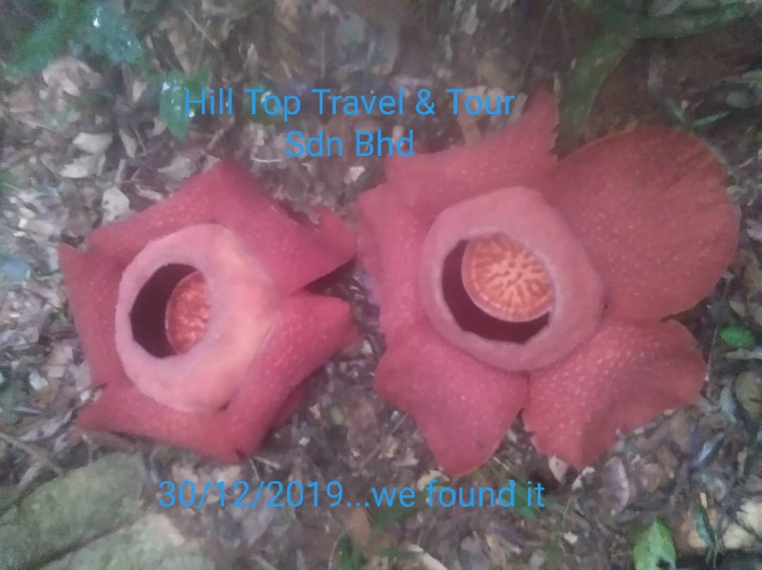 Hill Top Travel & Tour景点图片