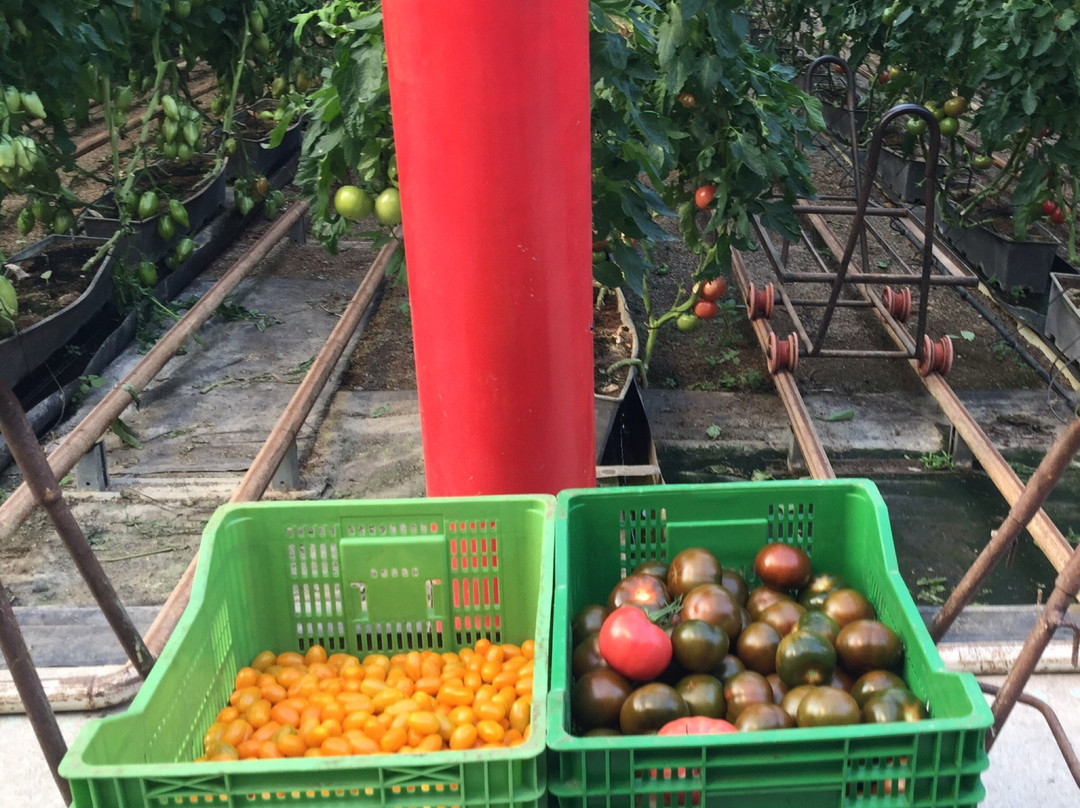 Clisol Turismo Agricola景点图片