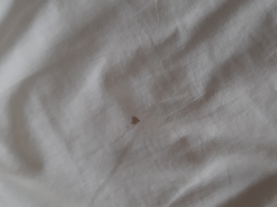 奈斯海滩酒店主图