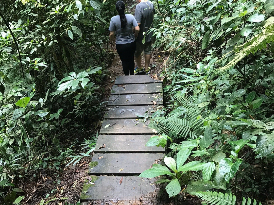 Remorini Turismo de Aventura-Visconde de Maua必去景点