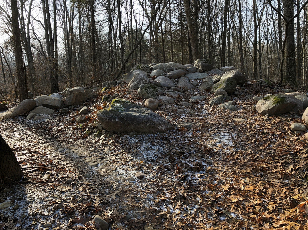 DTE Energy Foundation Trail-Chelsea必去景点