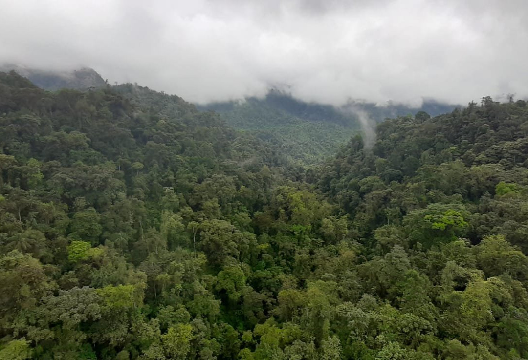 Tarabita y Santuario de Cascadas Mindo景点图片