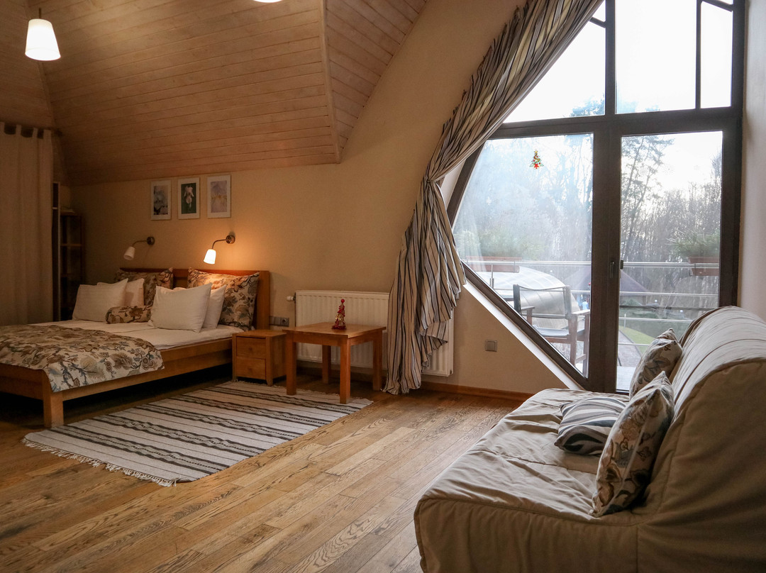Villa Kvitka Country Hotel主图