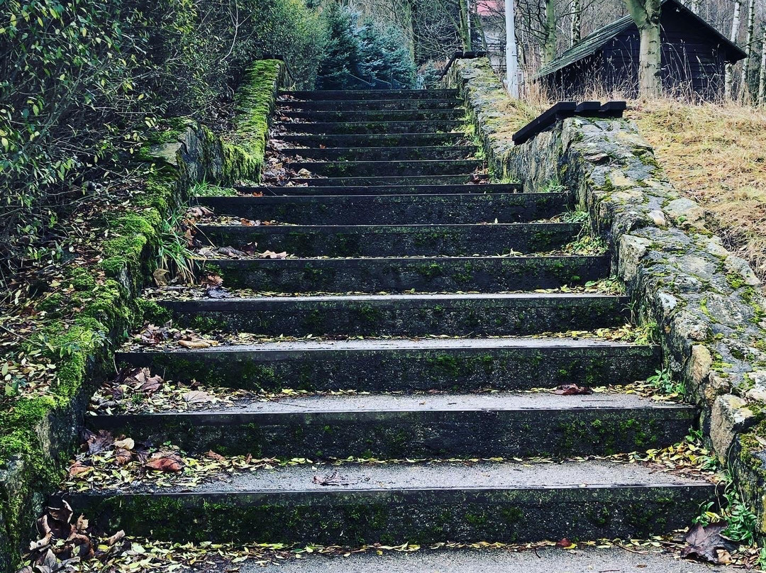 INTERFERIE Aquapark Sport Hotel Malachit主图