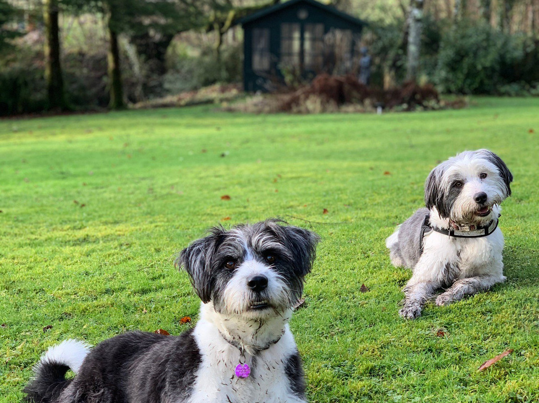 Tŷ Mawr Country Hotel & Restaurant主图