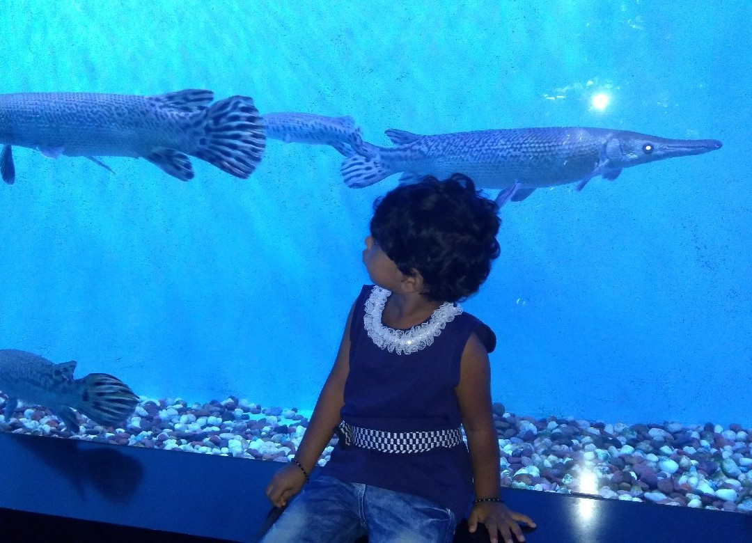 Abyss Fish Aquarium Goa景点图片