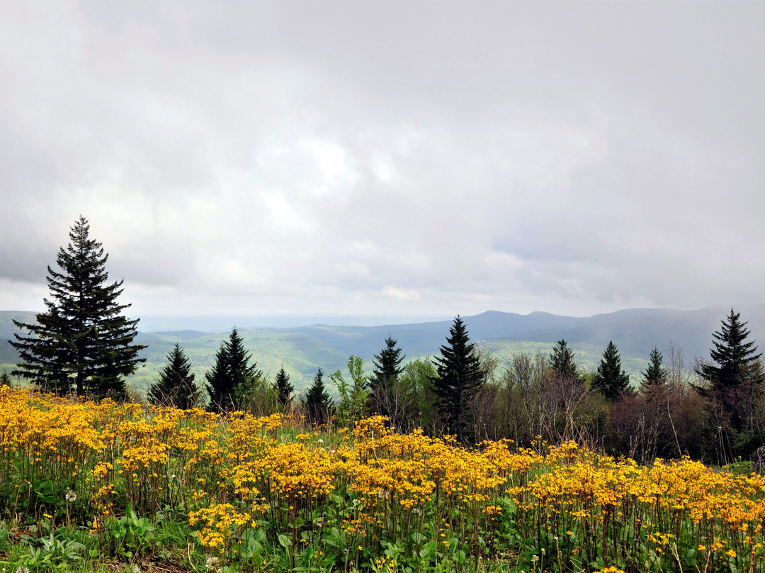 Highland Scenic Highway景点图片