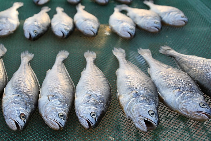 Sinan Jeotgal Town-新安郡必去景点