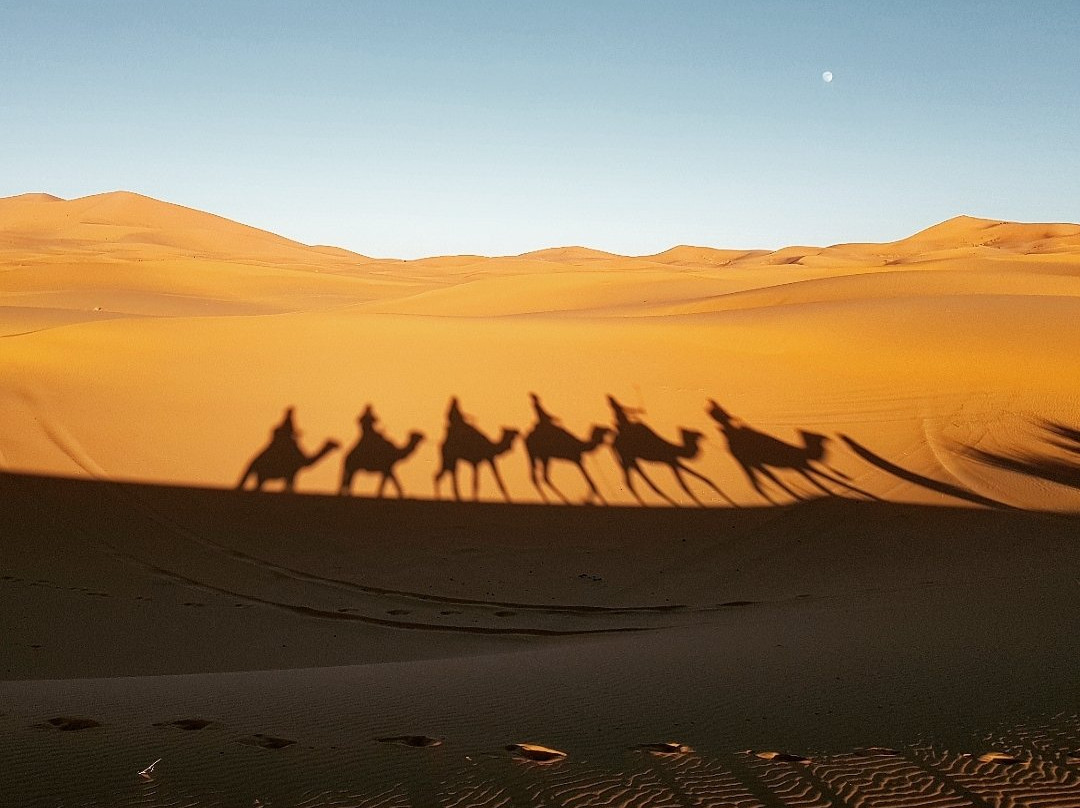 Viajeros Por Marruecos景点图片