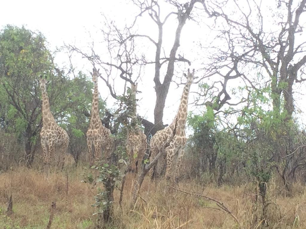 Yetu Safaris-莫洛哥罗必去景点