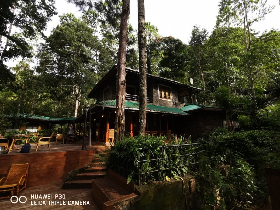 Le Leopard D' Argent主图