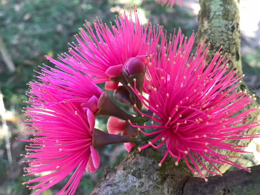 Step In The Valley-维纳勒斯必去景点