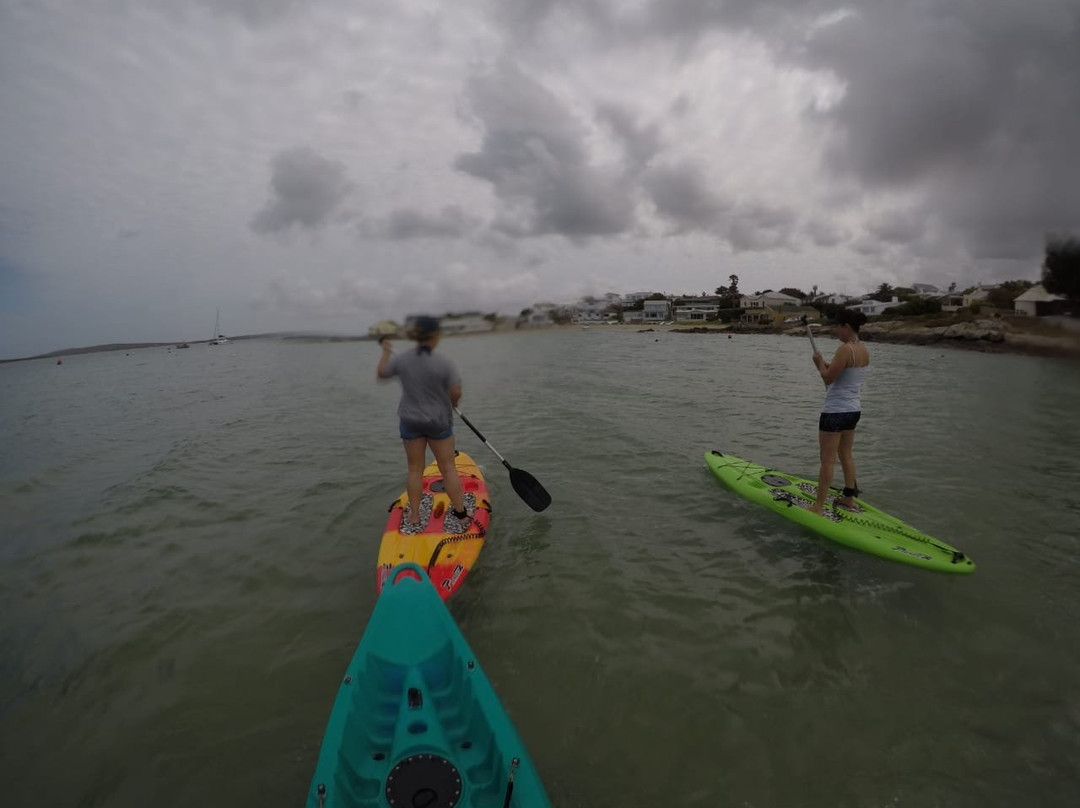 C Kite Langebaan-兰吉班必去景点