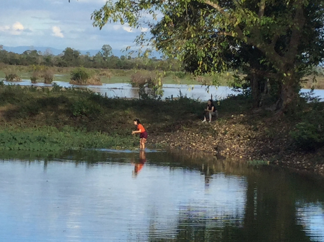 Kingfisher Ecolodge主图