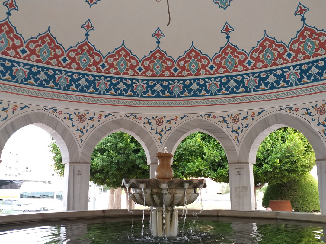 Manavgat Mosque景点图片