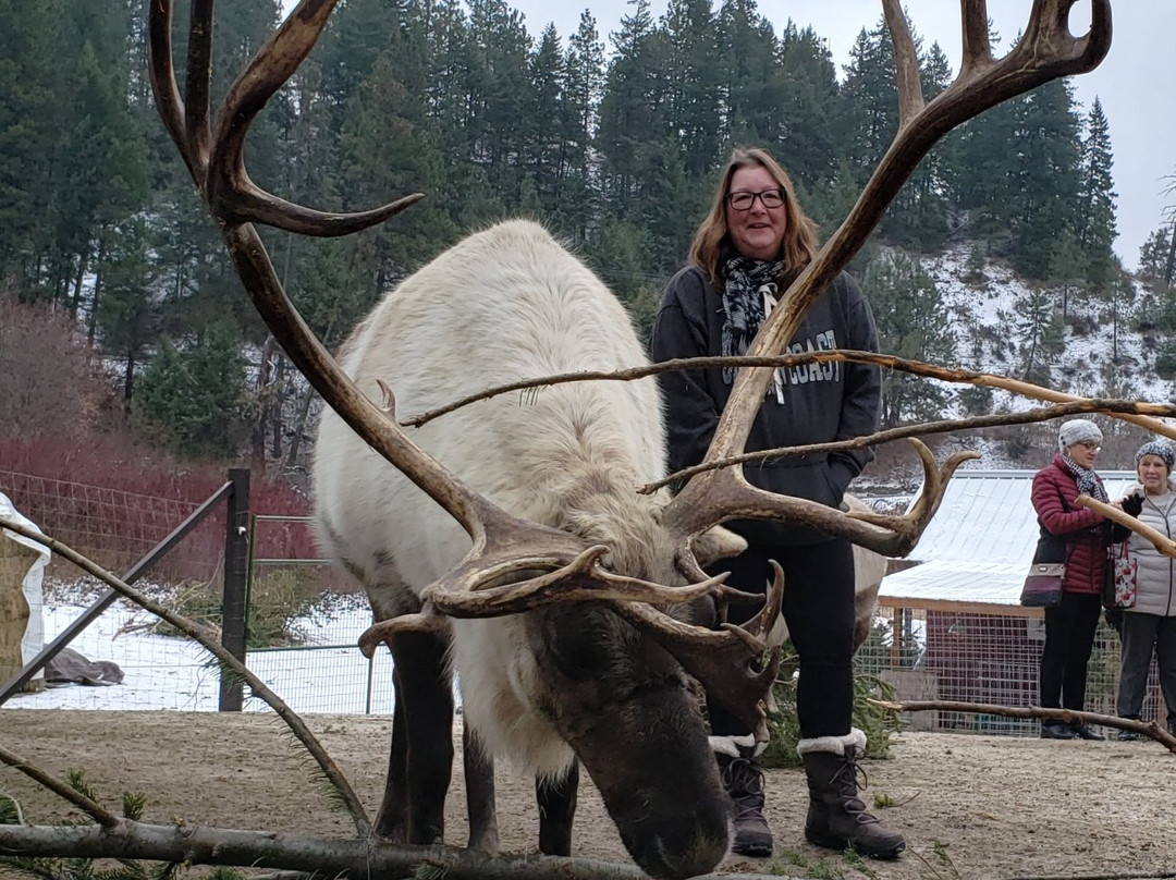 Leavenworth Reindeer Farm景点图片