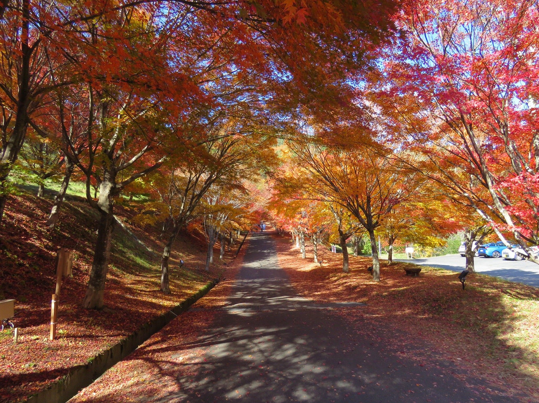 Lake Momiji (Minowa Dam)-箕轮町必去景点