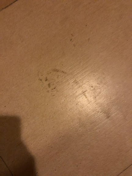 LaLiT旅行家知名酒店主图