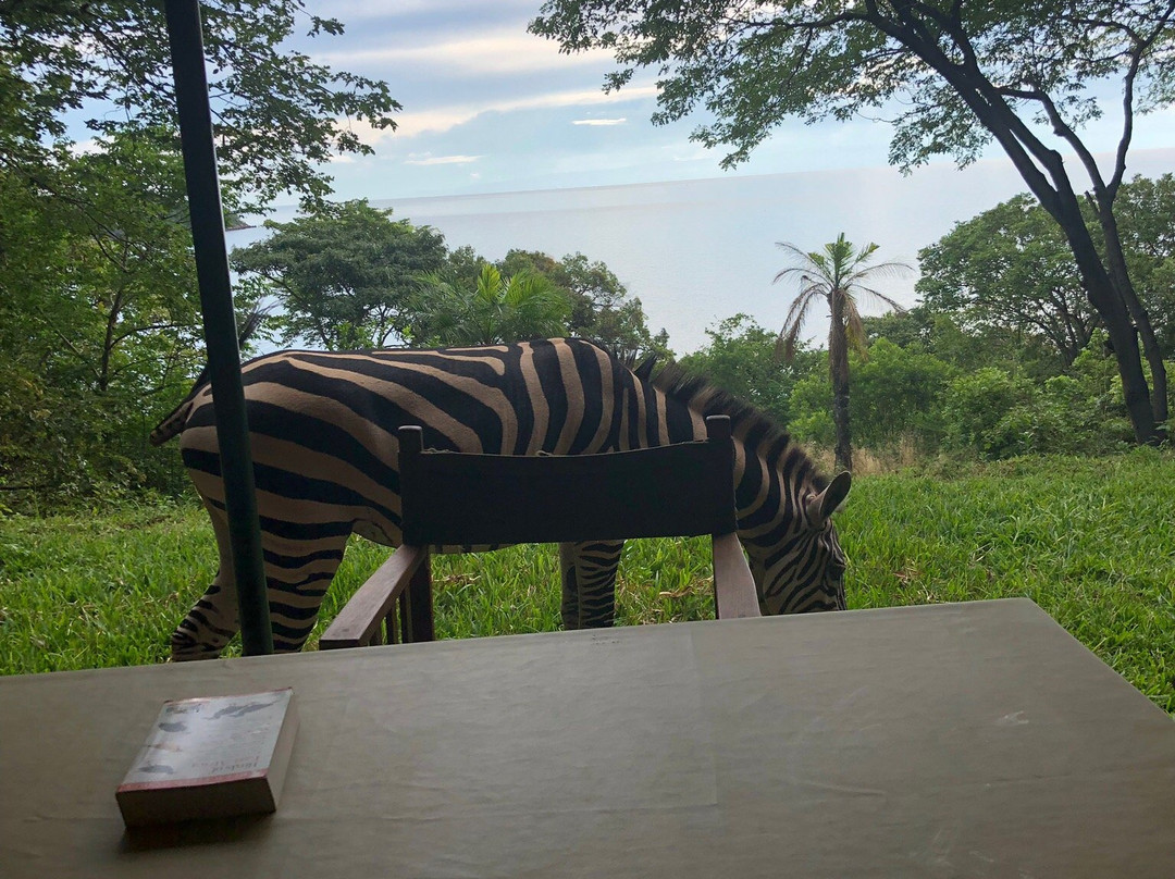 Jakobsen's Beach and Guesthouse主图