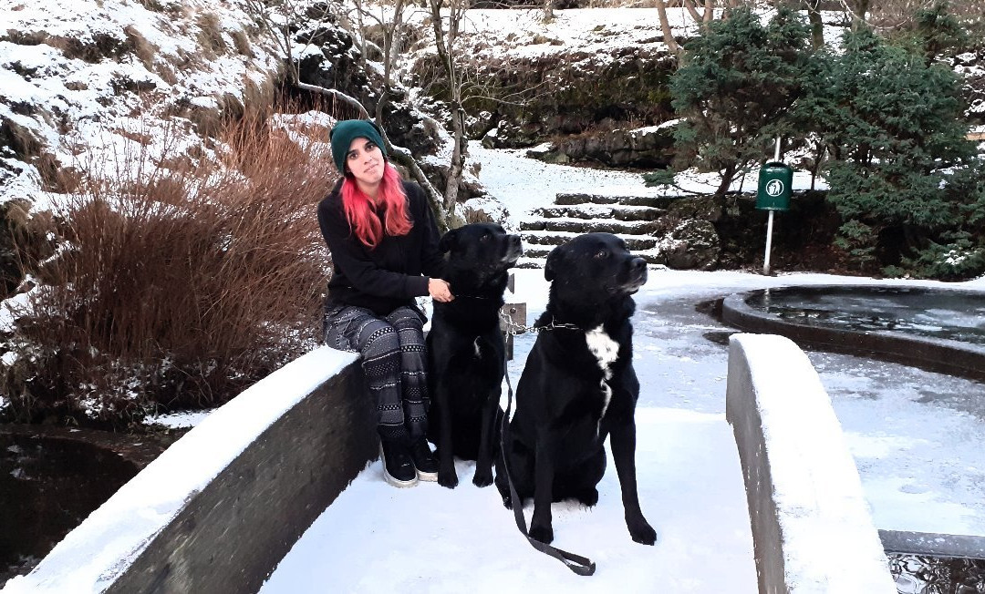 Hellisgerdi Park-哈夫纳夫约杜尔必去景点