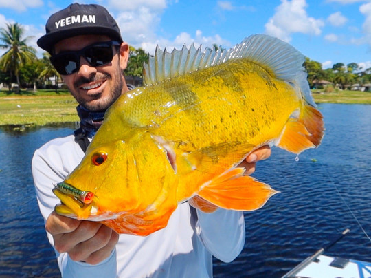 Dingo’s Fly & Fishing Adventures-朱庇特必去景点