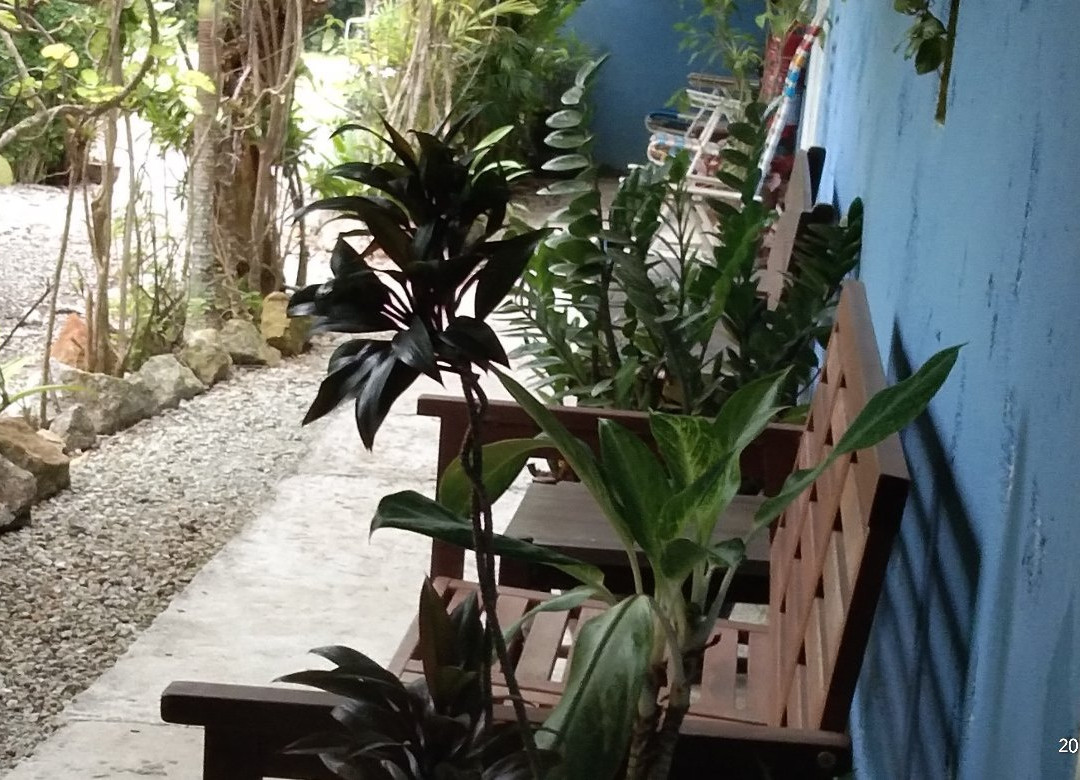 盒子木屋酒店主图