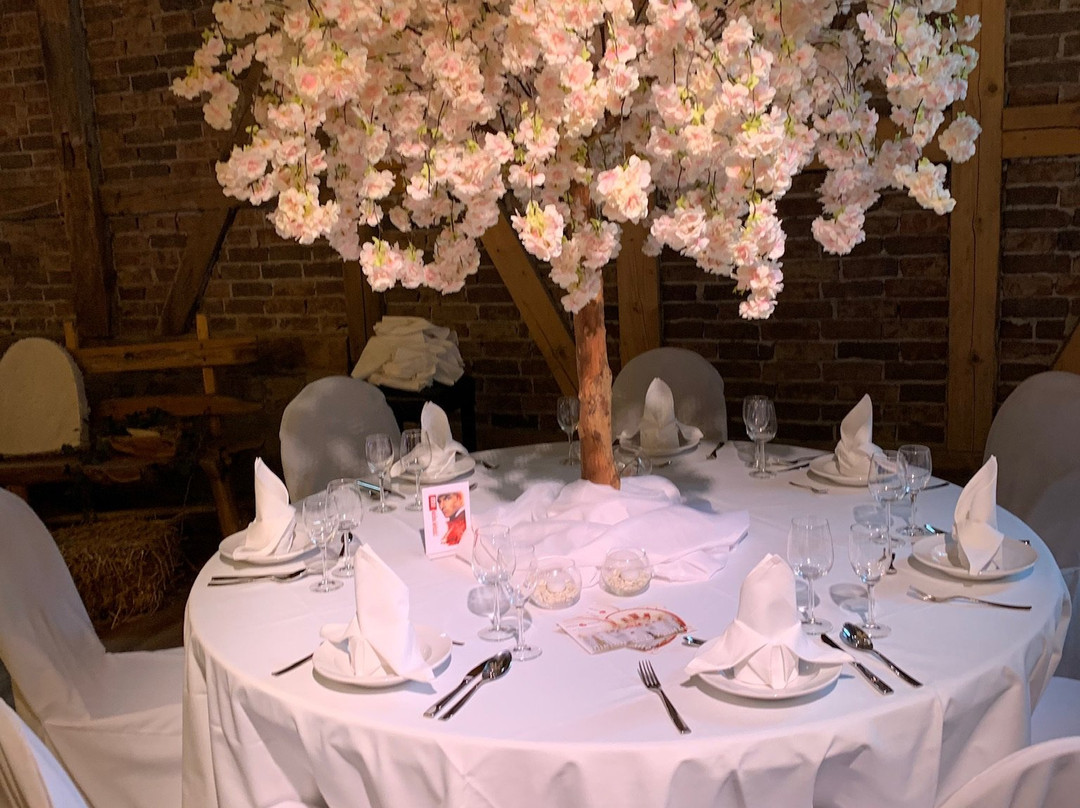 Die Edelkastanie主图