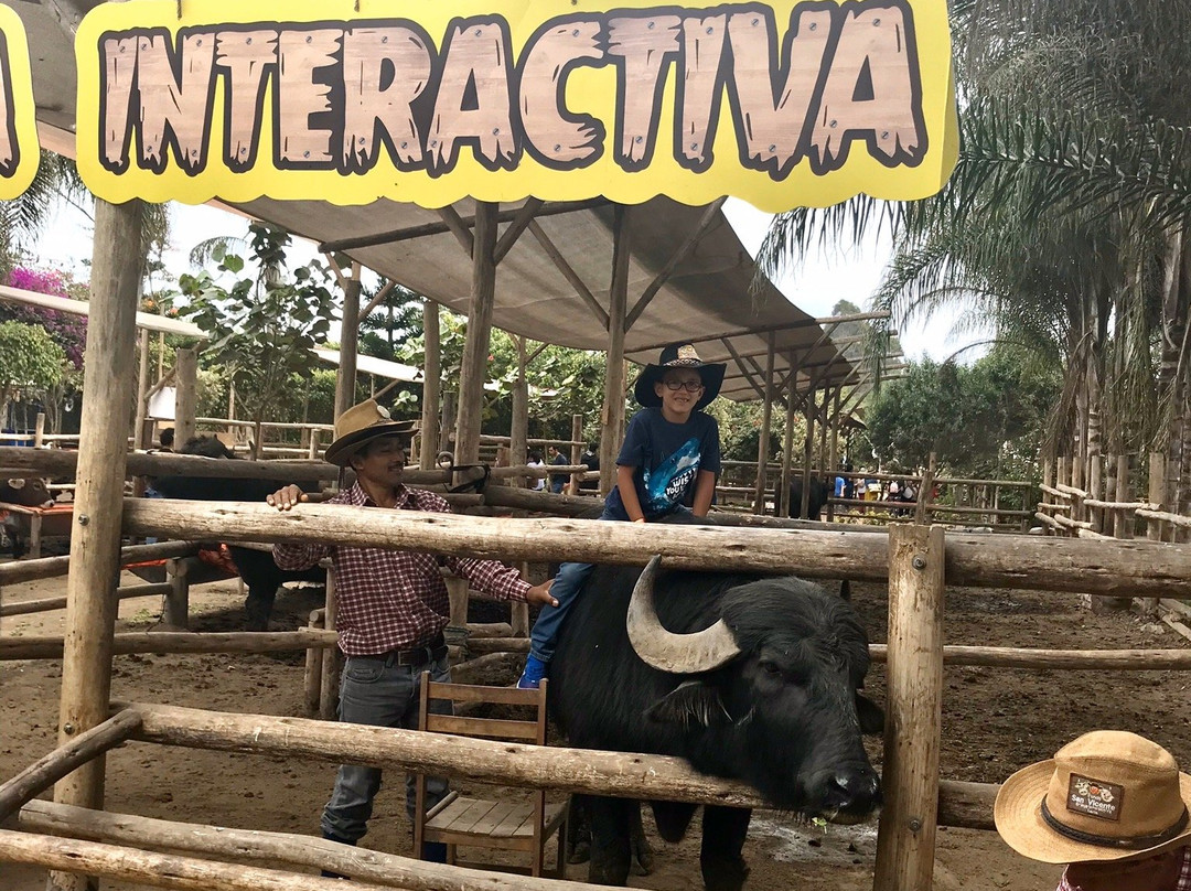 Granja Interactiva Fundo San Vicente-Lurin必去景点